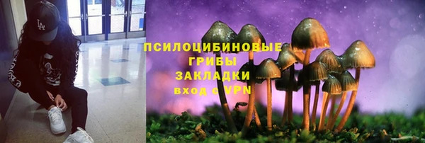 ALPHA PVP Аркадак
