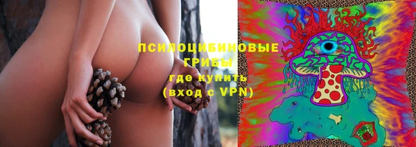 мдпв Нязепетровск